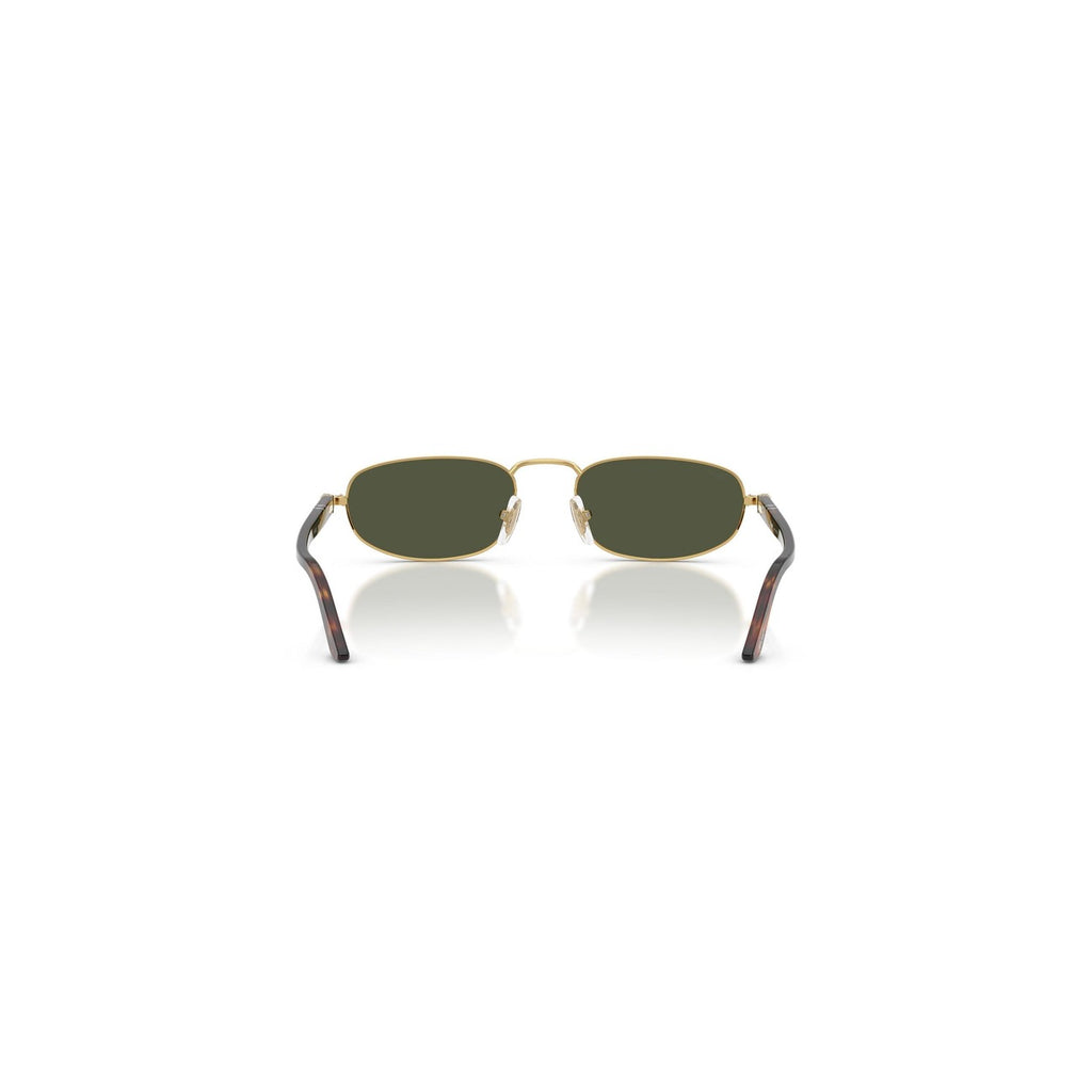 Persol - Persol Men Sunglasses