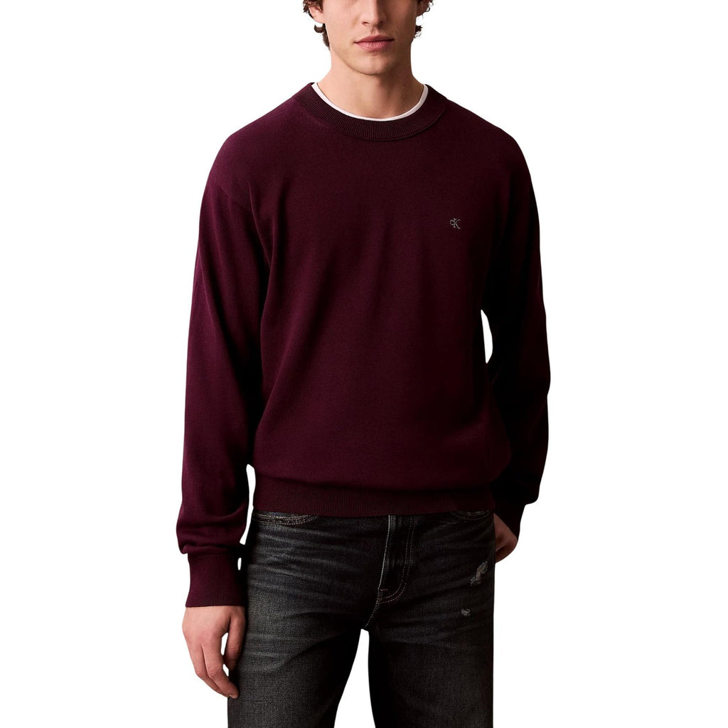 Calvin Klein Jeans Men Knitwear 100% Cotton Purple – front view, round neck, long sleeves