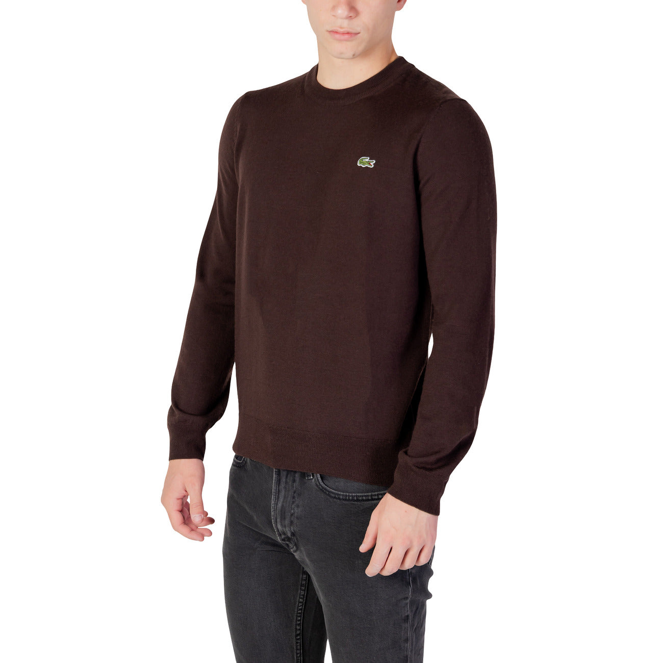 Lacoste Men Knitwear Wool Brown – back view