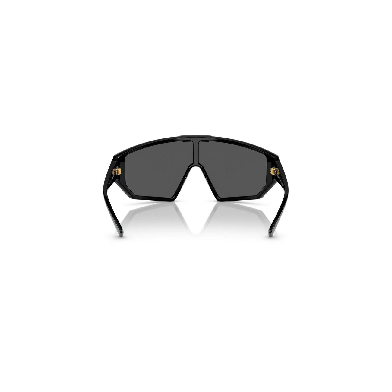 Versace - Versace Men Sunglasses