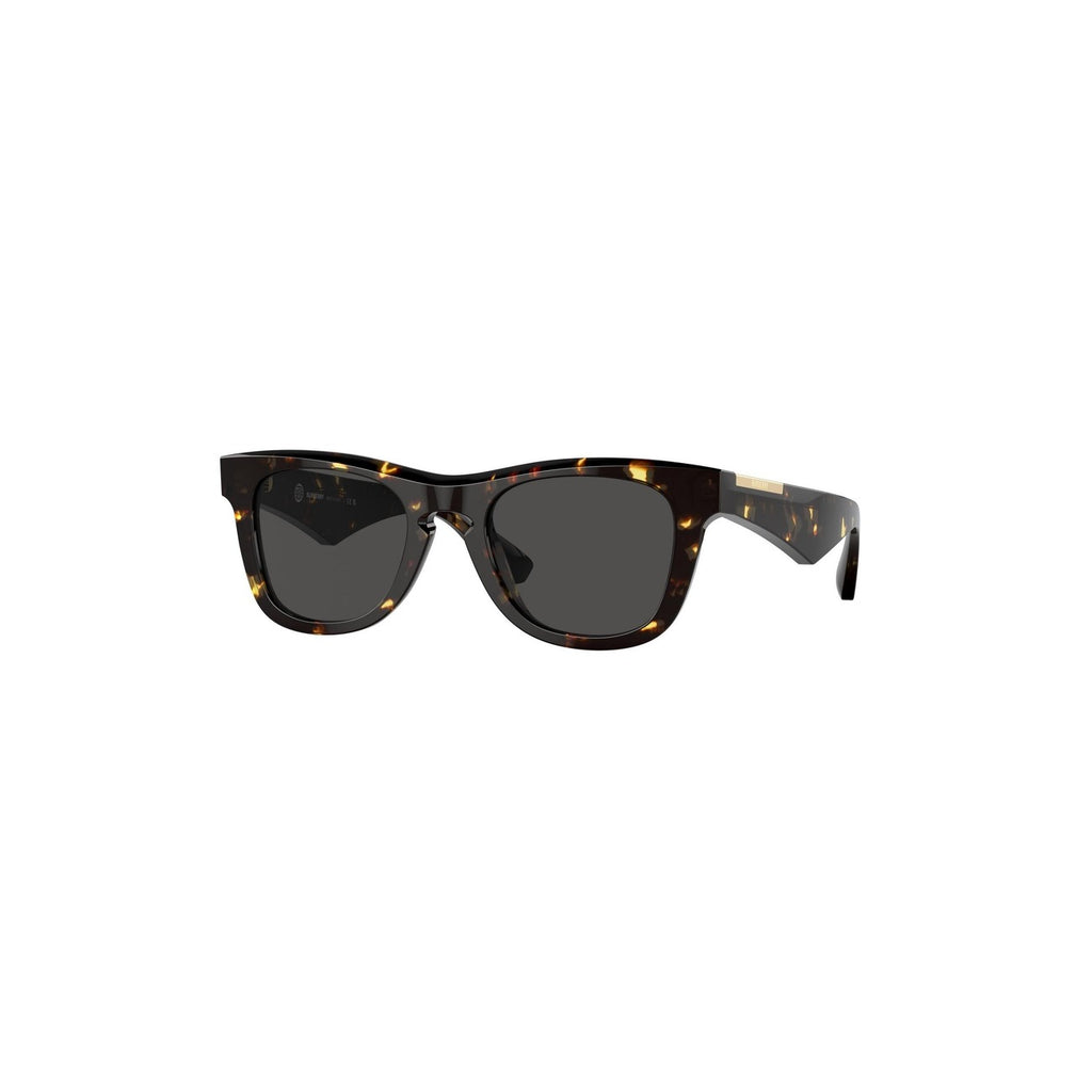 Burberry - Burberry Men Sunglasses