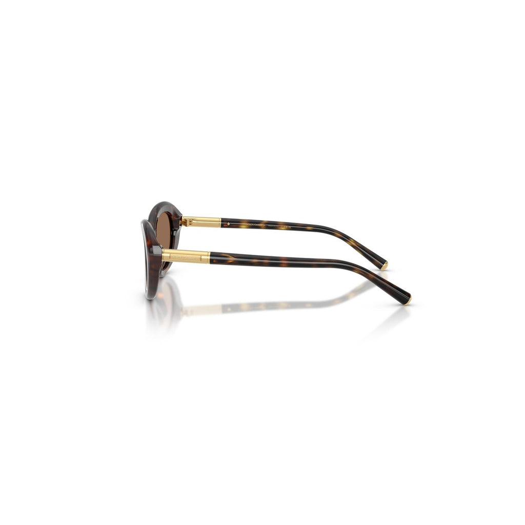 Dolce & Gabbana - Dolce & Gabbana  Women Sunglasses