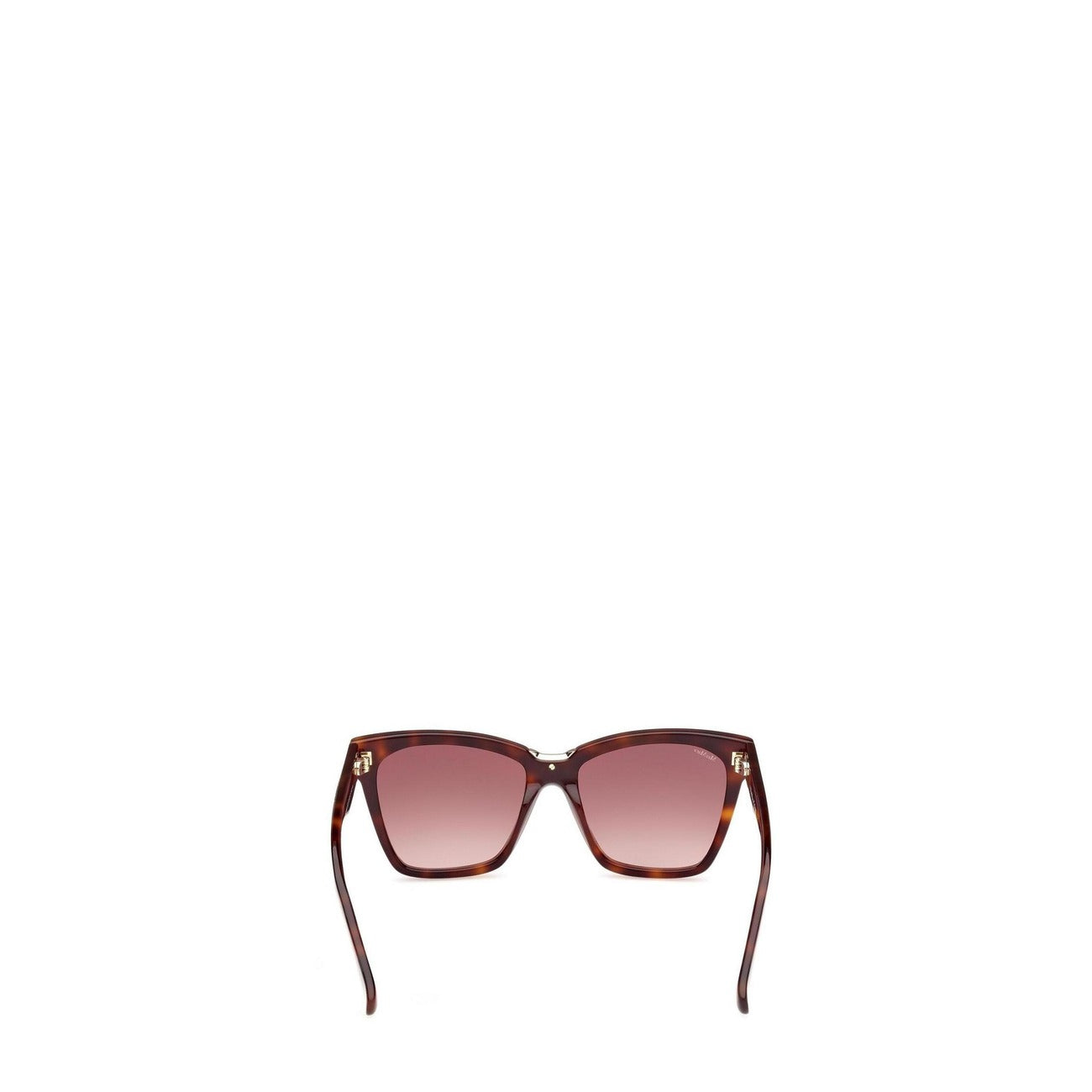 Maui - Maui  Women Sunglasses