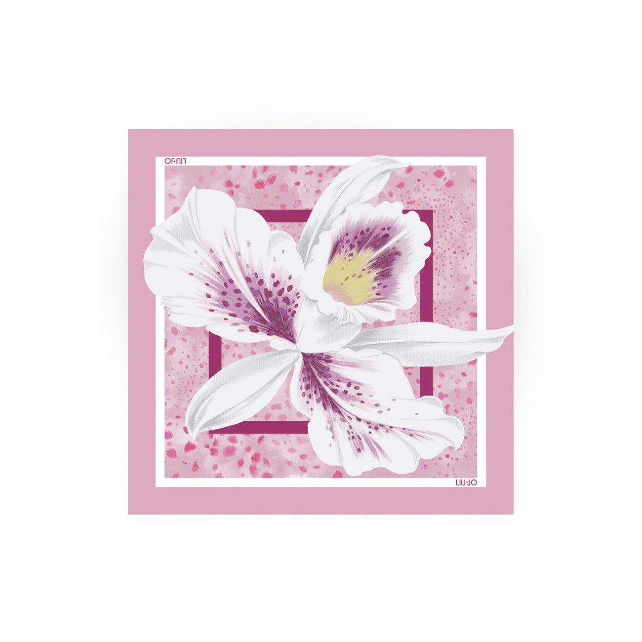 Liu Jo - Liu Jo  Women Scarve