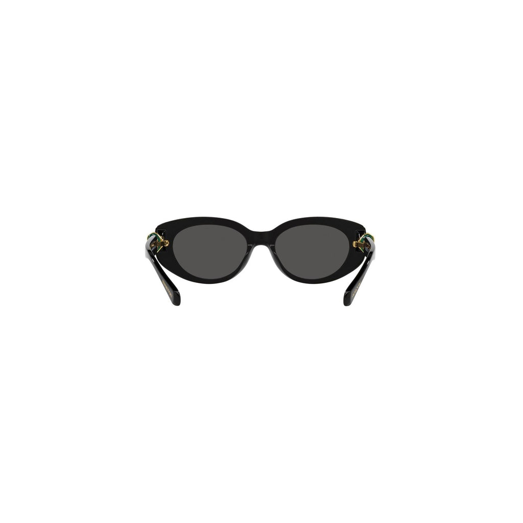 Swarovski - Swarovski  Women Sunglasses