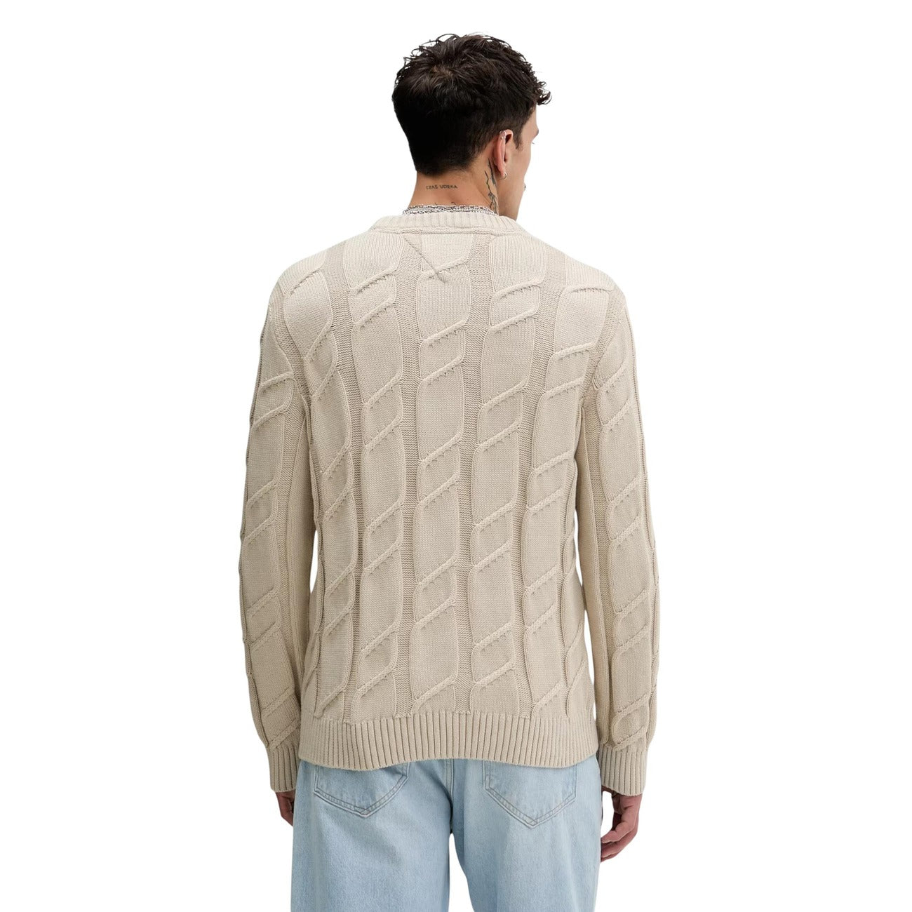 Tommy Hilfiger Jeans Men Knitwear 100% Organic Cotton Beige – back view